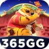 365gg